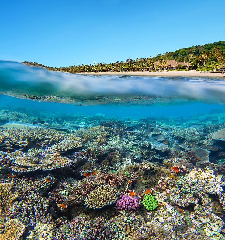 © Tourism Fiji