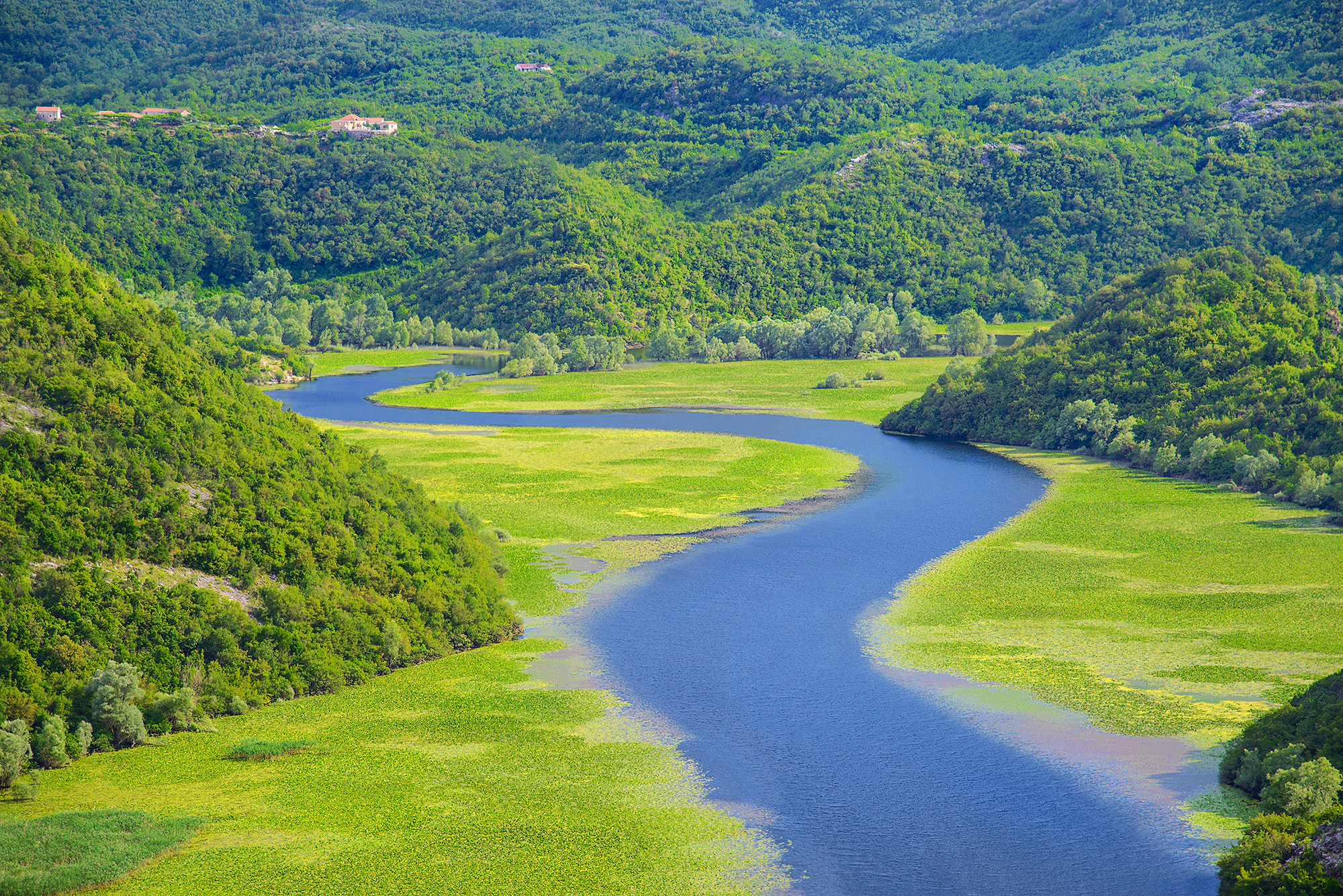 Rijeka Crnojevica river à Skadar Lake