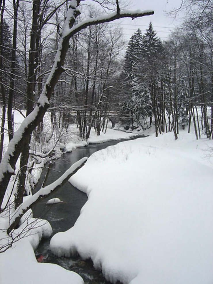 Paysage hivernal roumain Forêts Braşov Transylvanie Roumanie