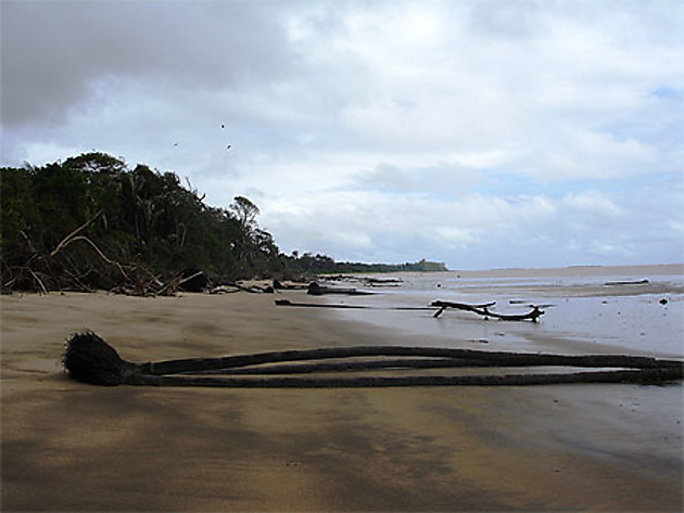 Kourou la plage Plages Mer Kourou Côte atlantique Guyane