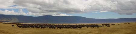 Crat Re Animaux Ngorongoro Le Nord Et Les Grands Parcs Nationaux