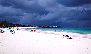 Playa Punta Cana (sur la côte des Cocotiers)