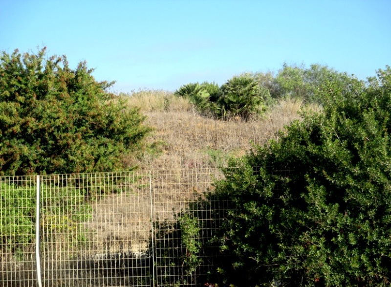 Le Parc Arch Ologique Grec Selinunte S Linonte Sicile Africaine