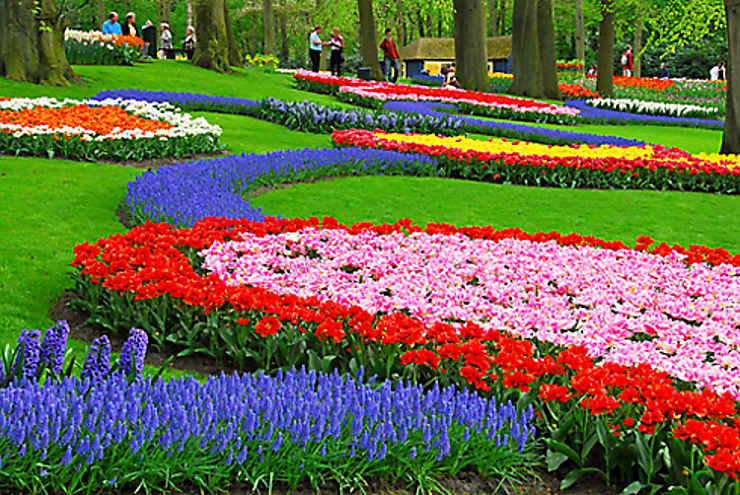 Le Keukenhof à Lisse : Une Mer De Tulipes - Routard.com