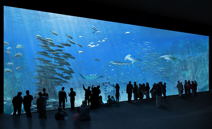 Pas-de-Calais Boulogne-sur-Mer Nausicaa  plus grand aquarium