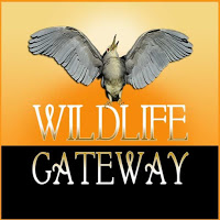 Noushka-Wildlife-Gateway