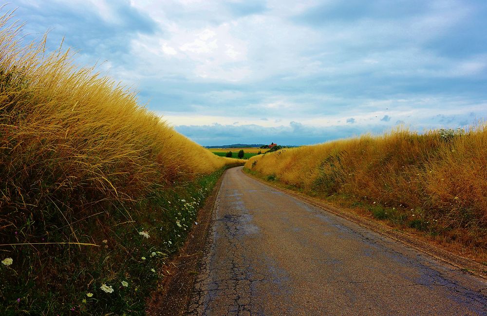 Couleurs d'une saison à Libramont, Belgique