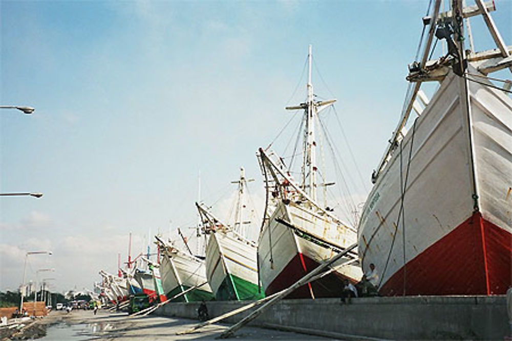 Bugis dans le port