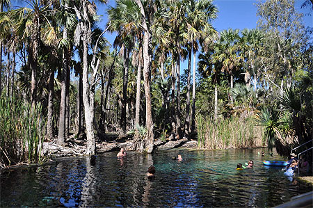 La piscine thermale à Mataranka La piscine thermale à Mataranka