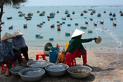 Vendeuses de poissons en bord de mer