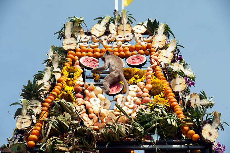 Fête des singes à Lopburi (Thaïlande)