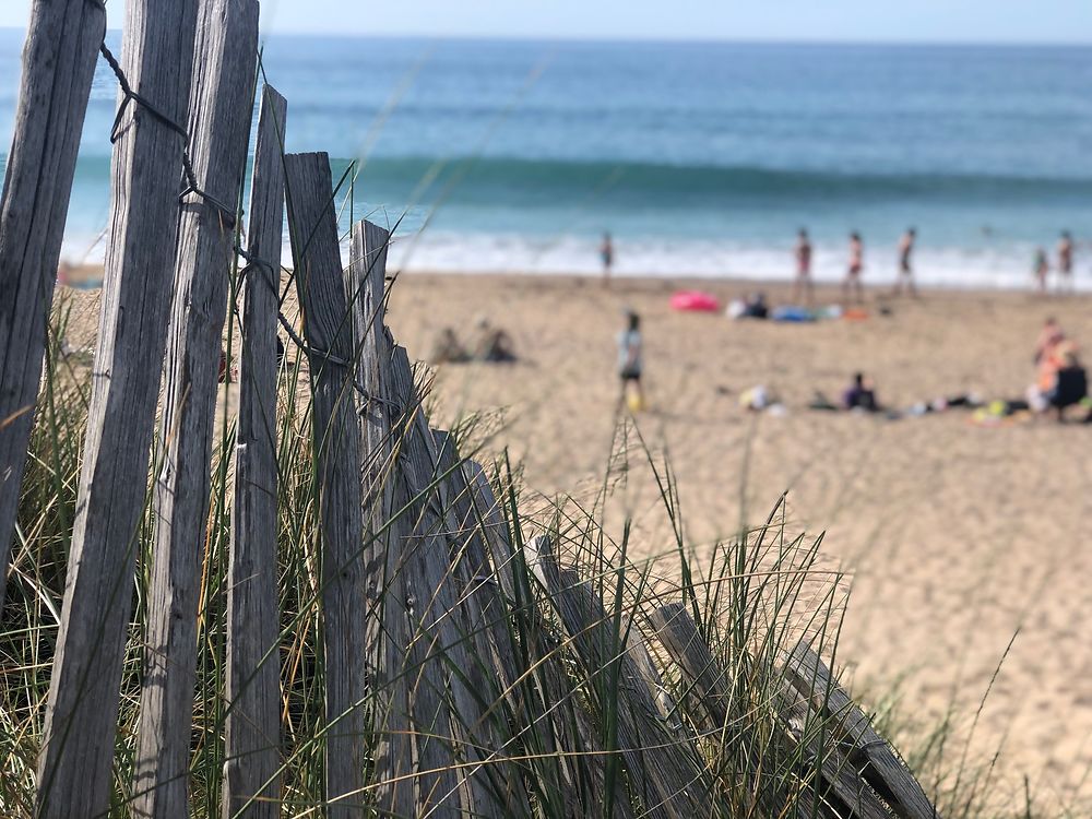 Plage à Locquirec