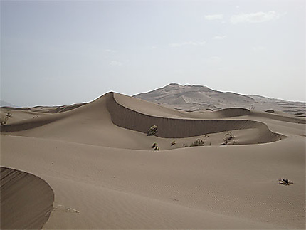 Mer de dunes