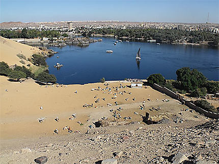 Un regard sur les touristes d'Egypte