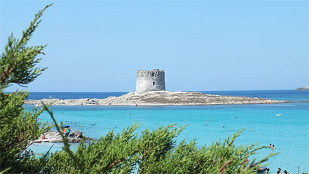 Tour à Stintino