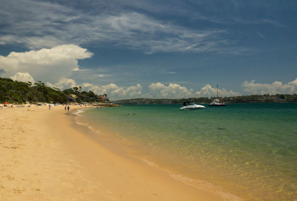 Royal National Park à Sydney