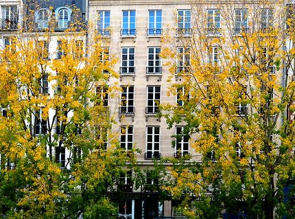 Immeubles de Paris en automne 