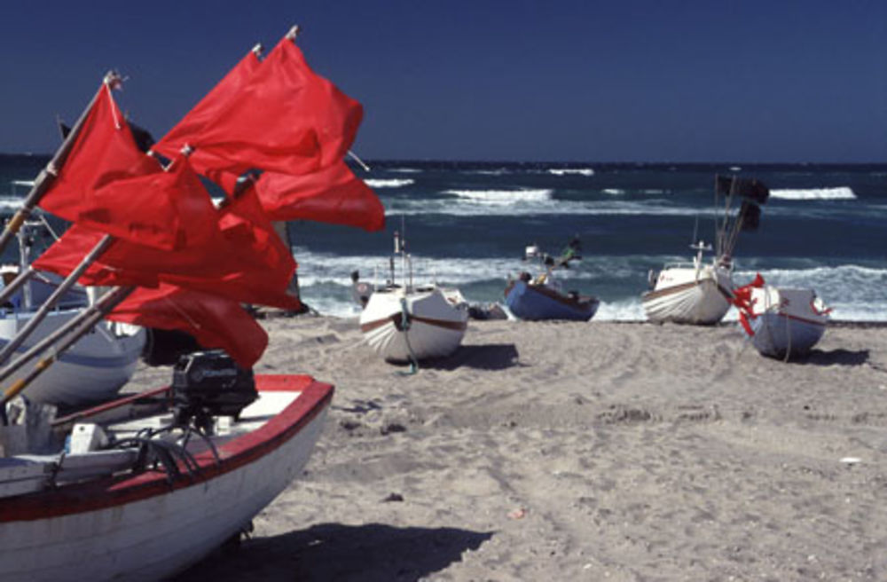 Plage de Vorupor