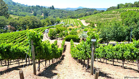 La vallée des vins à Sonoma La vallée des vins à Sonoma