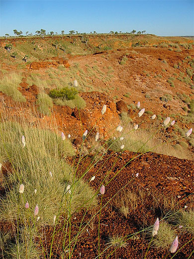 Sur le route de Fitzroy Crossing à Halls creek Sur le route de Fitzroy Crossing à Halls creek