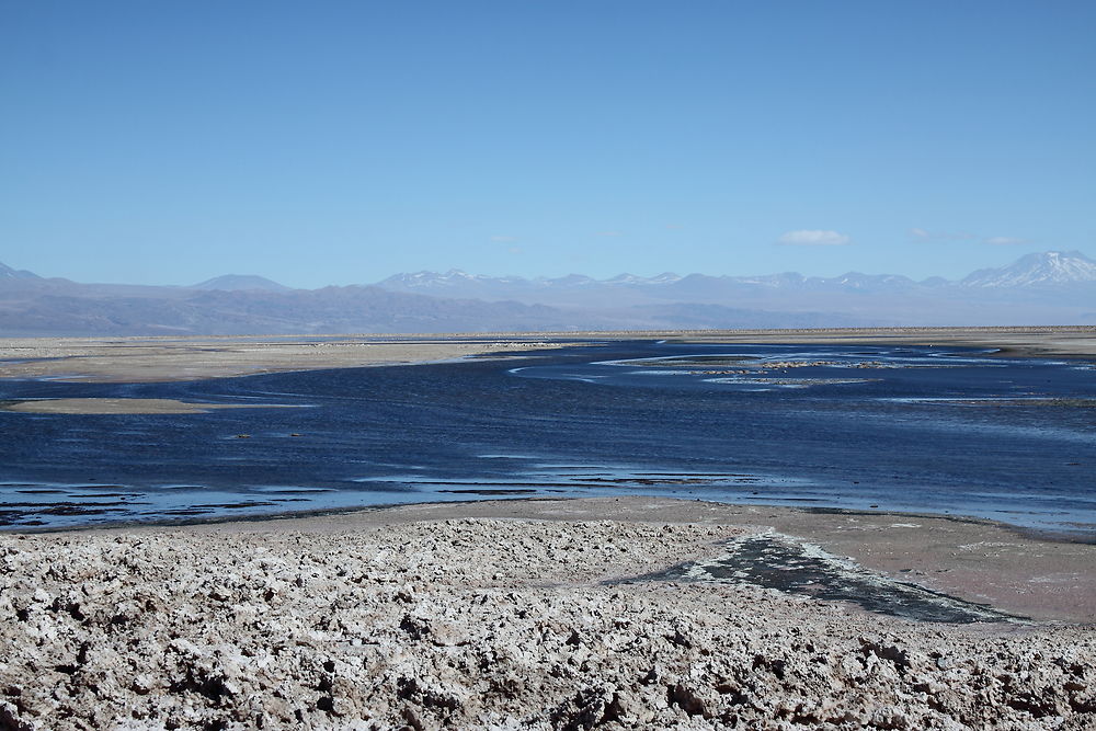 Laguna chaxa 2300 mètres