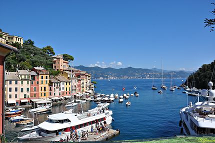 Portofino