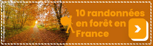 10 randonnées en forêt en France