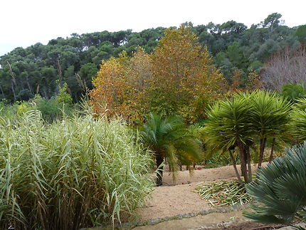 Cap Roig jardin botanique 