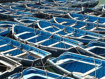 Barques à Essaouira