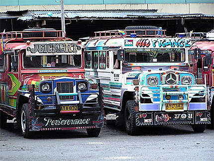 Jeepney sponsoring ? 