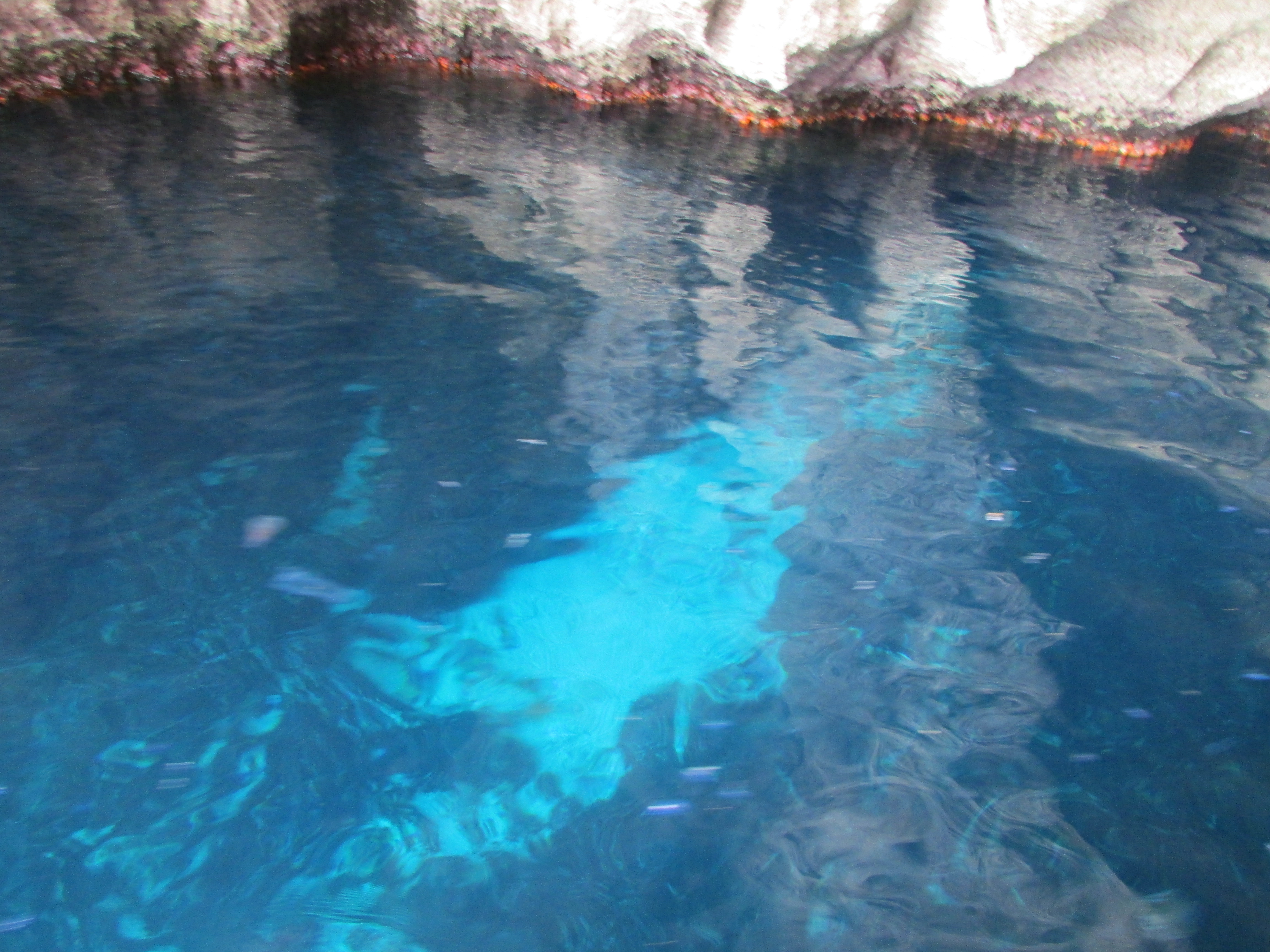 Blue grotto Blue grotto