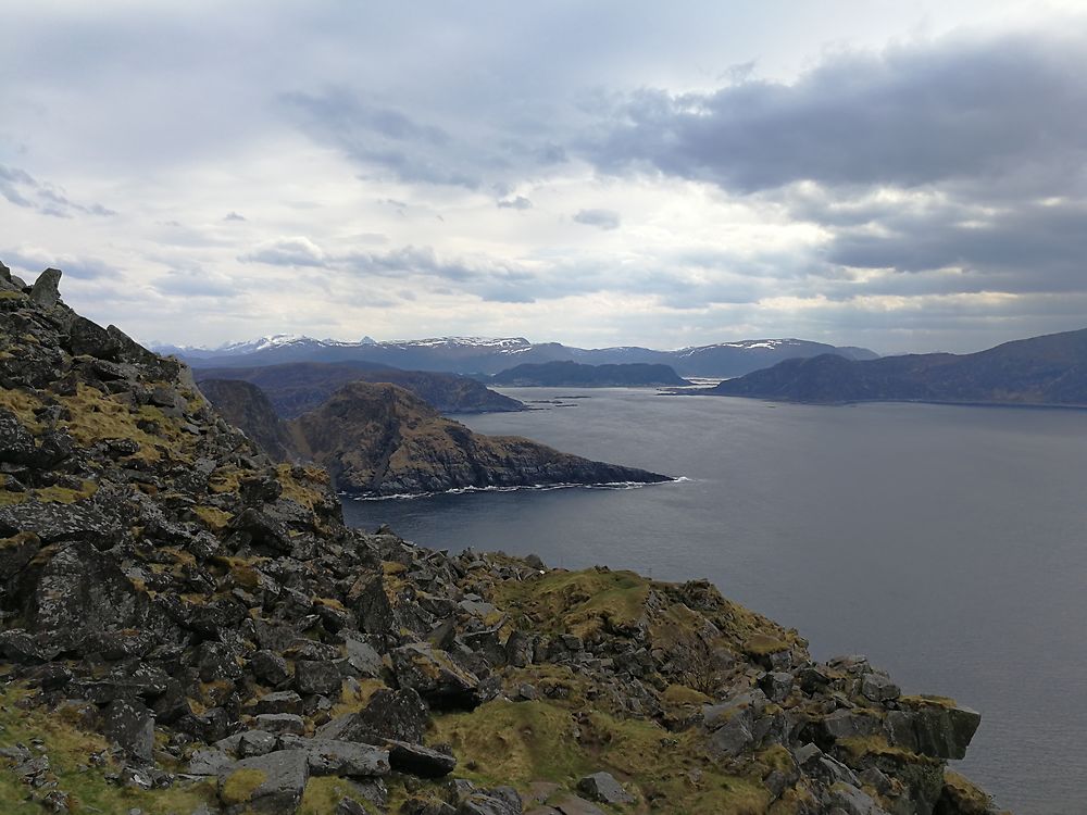 Île de Runde, là où nichent les macareux