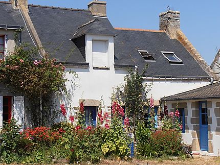 Maisons fleuries