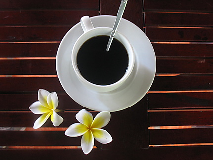Pause café, fleur de Frangipanier