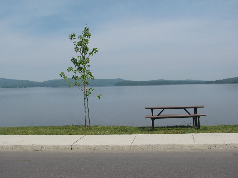 Paysage à Cabano