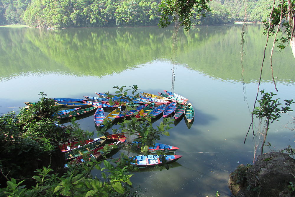 Barques au mouillage