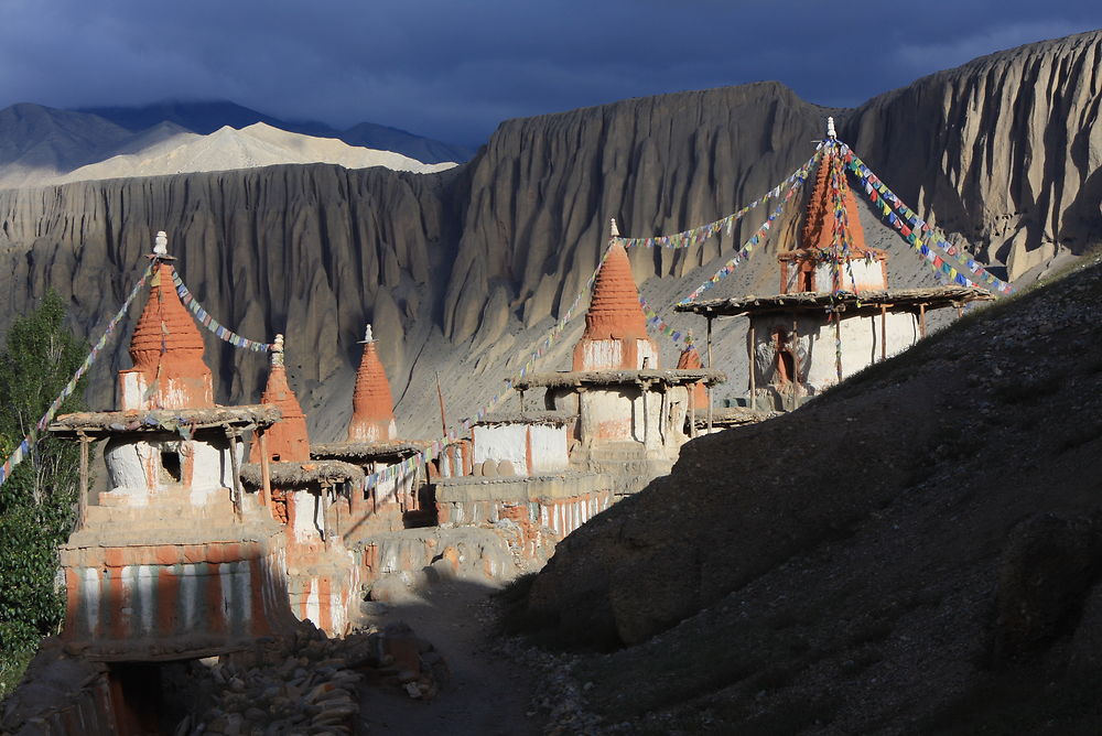 Les chorten du mustang