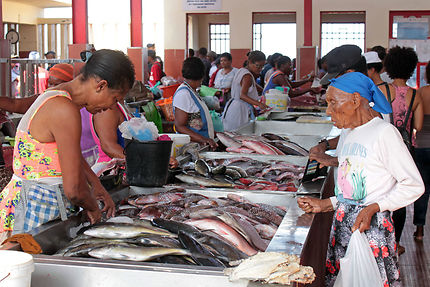 Mercado de Peixe, abondance et choix
