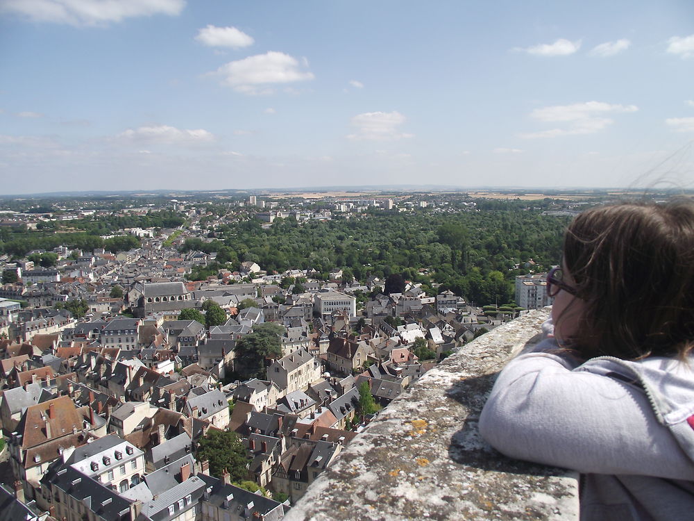 Vue du haut de la tour de la Cathédrale de Bourges