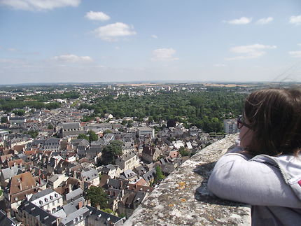 Vue du haut de la tour de la Cathédrale de Bourges