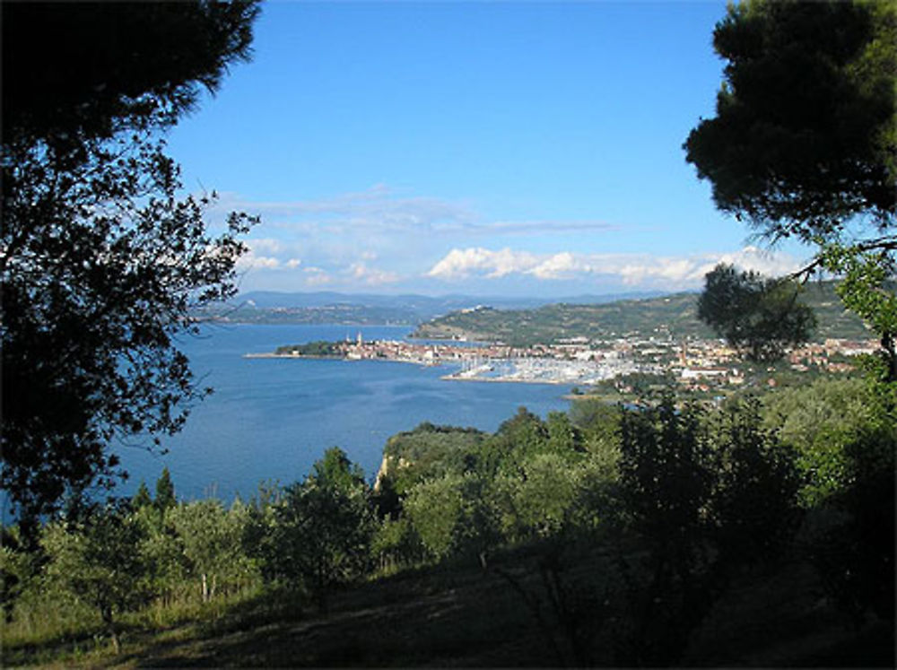 Vue sur Izola