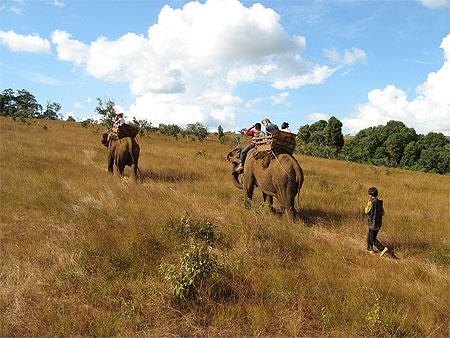 Eléphant Trek Eléphant Trek