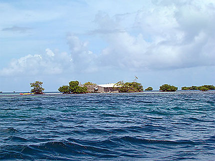 Balade dans le grand cul de sac marin à la Guadeloupe