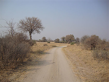 Paysage zimbabwéen