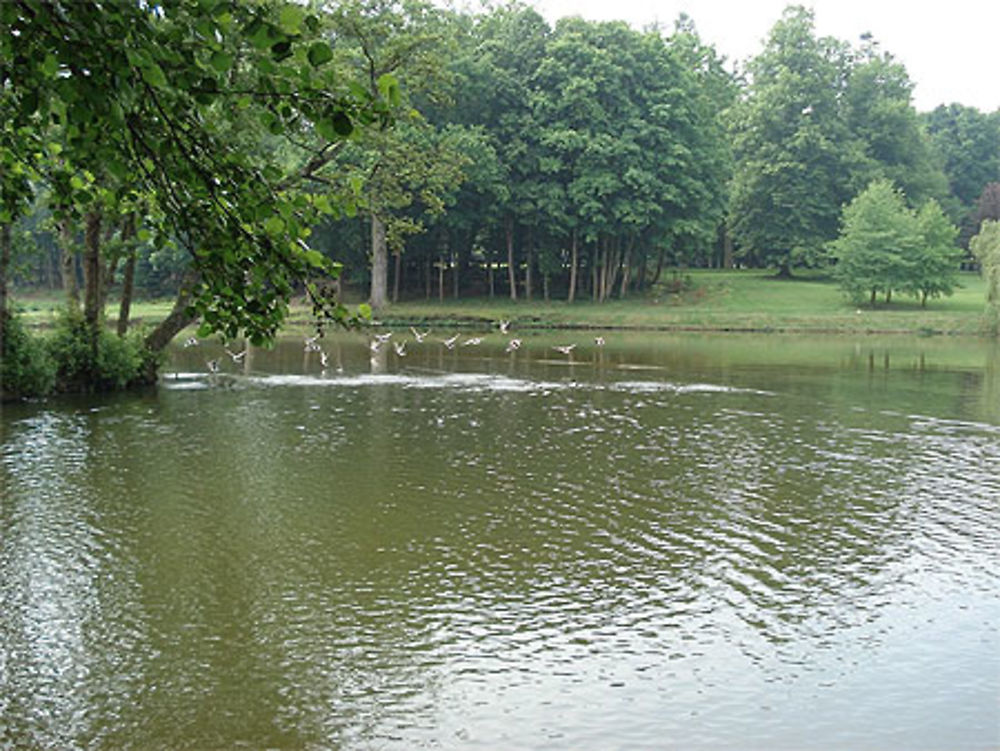 Le jardin du château de Canisy