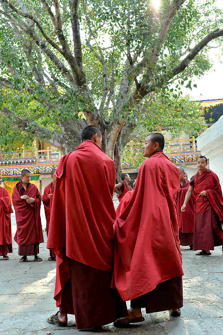 Discussion entre moines