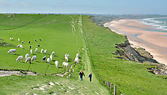 Les Hauts-de-France, c&ocirc;t&eacute; mer