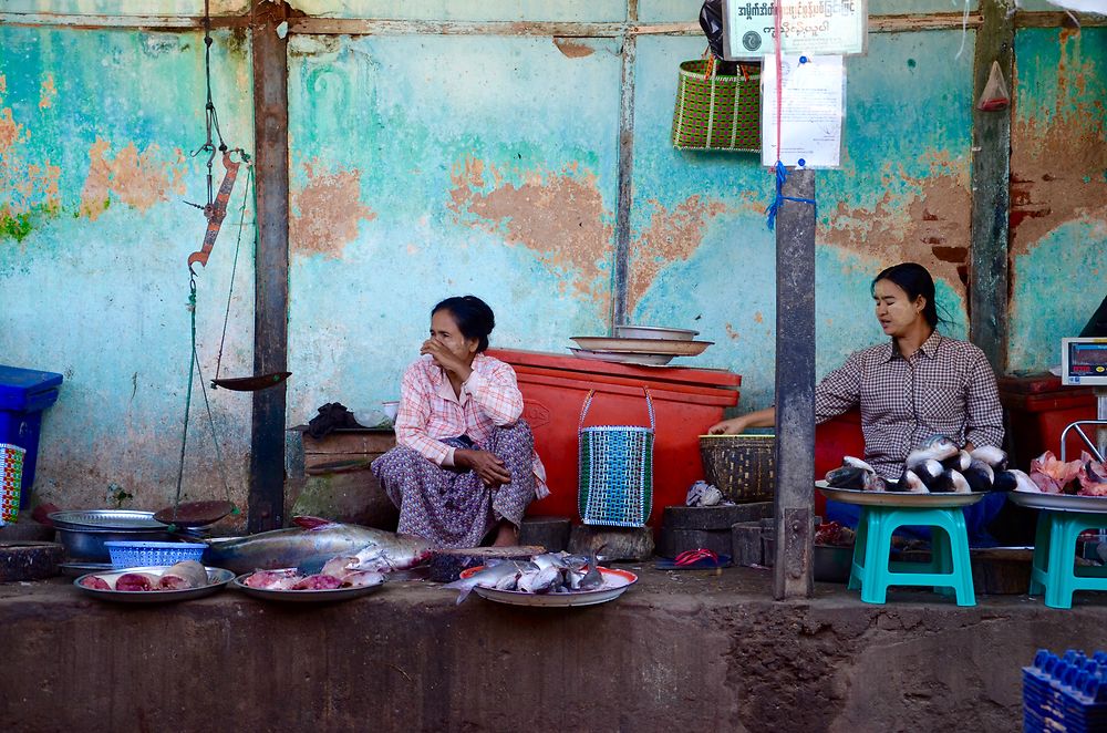 Marché aux poissons à Nyaung-U