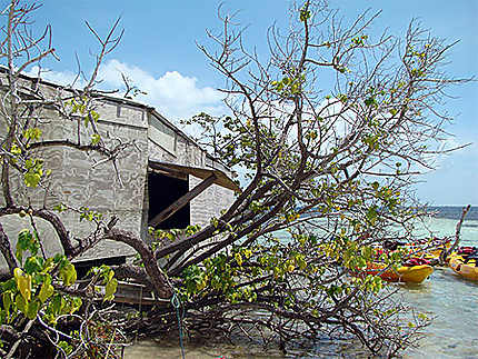Une cabane sur un îlet du grand cul de sac marin à la Guadeloupe