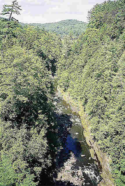 The flume gorge